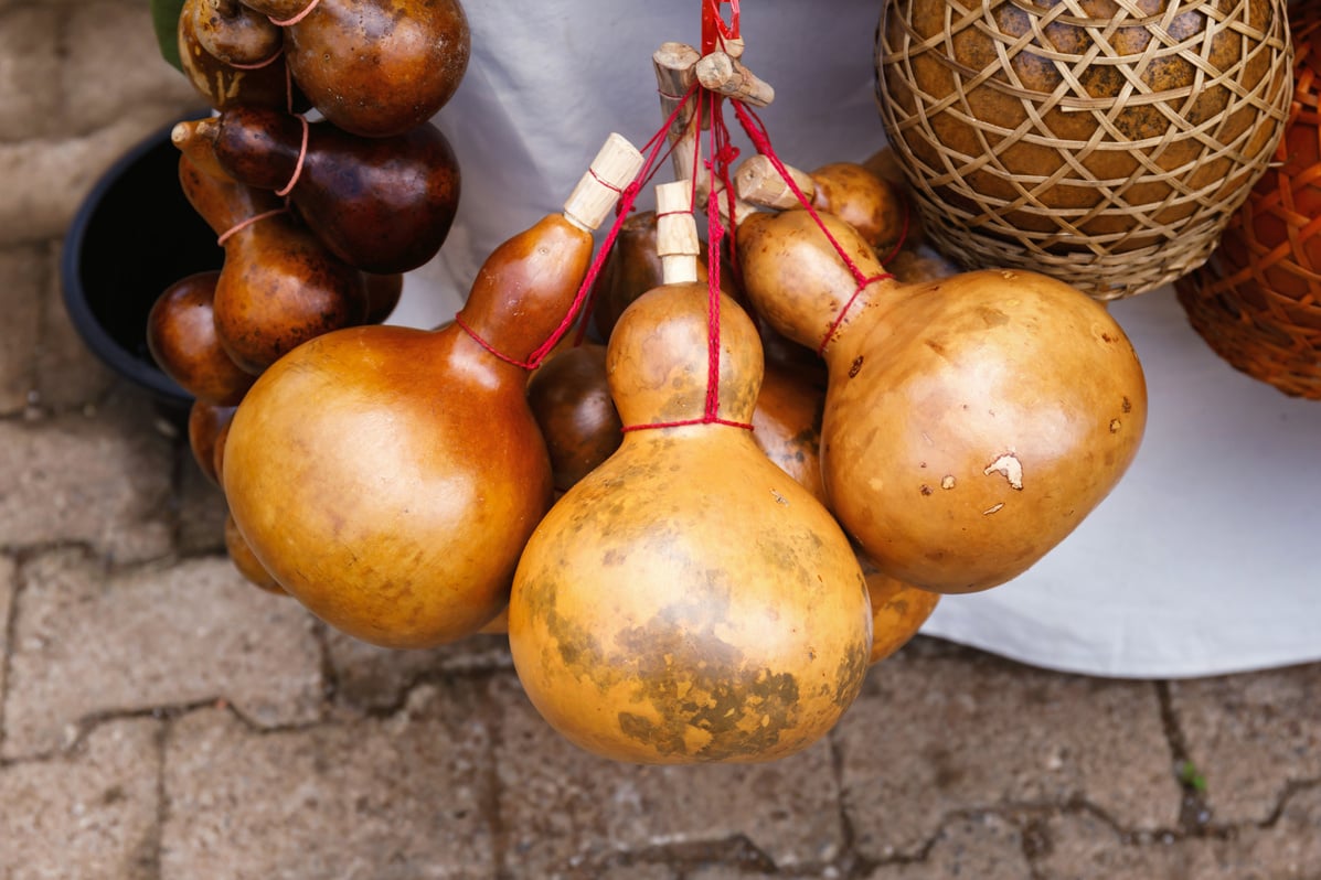 Traditional dried bottle gourd